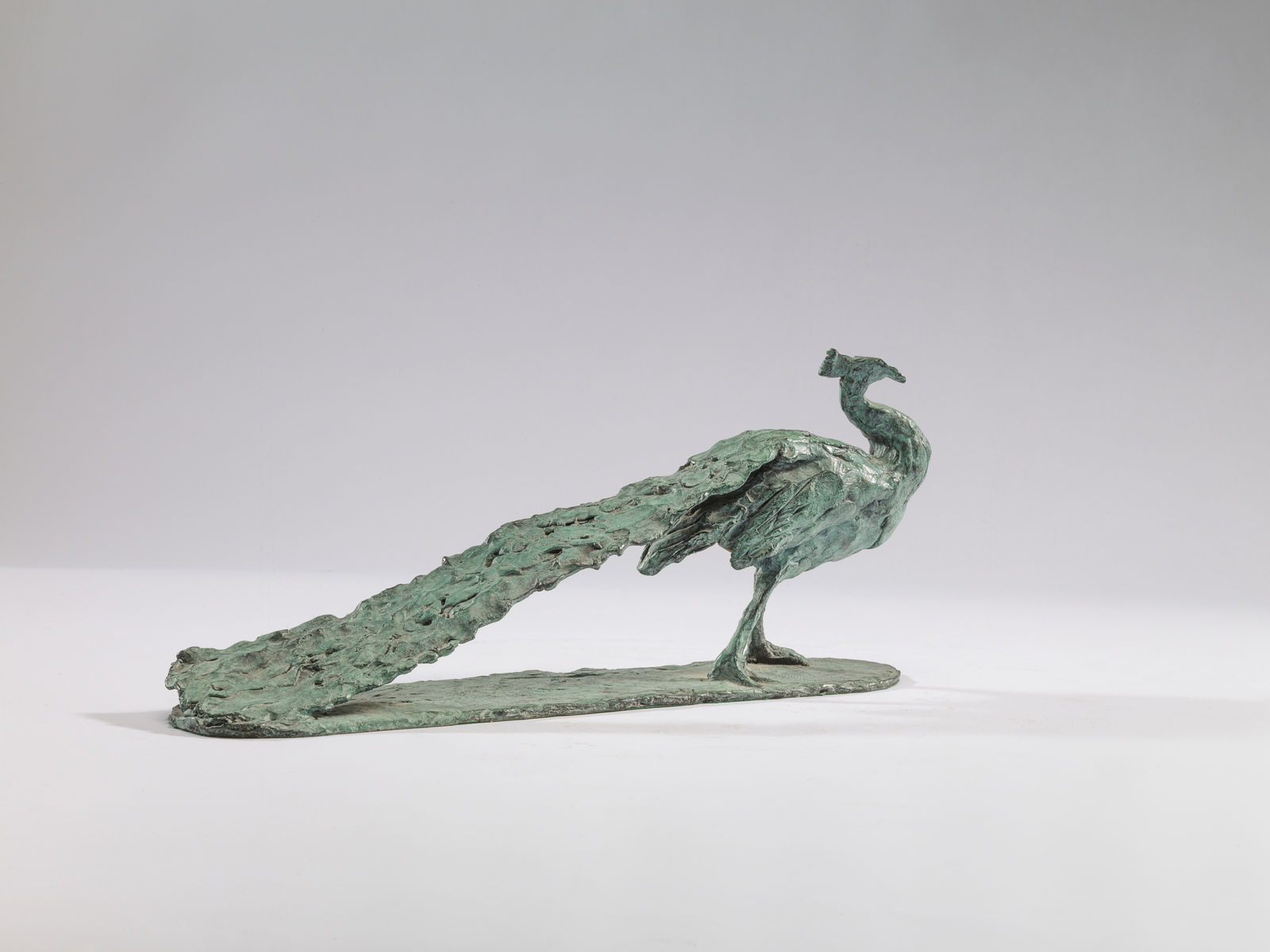 Charlotte Mayer, Peacock, 1989