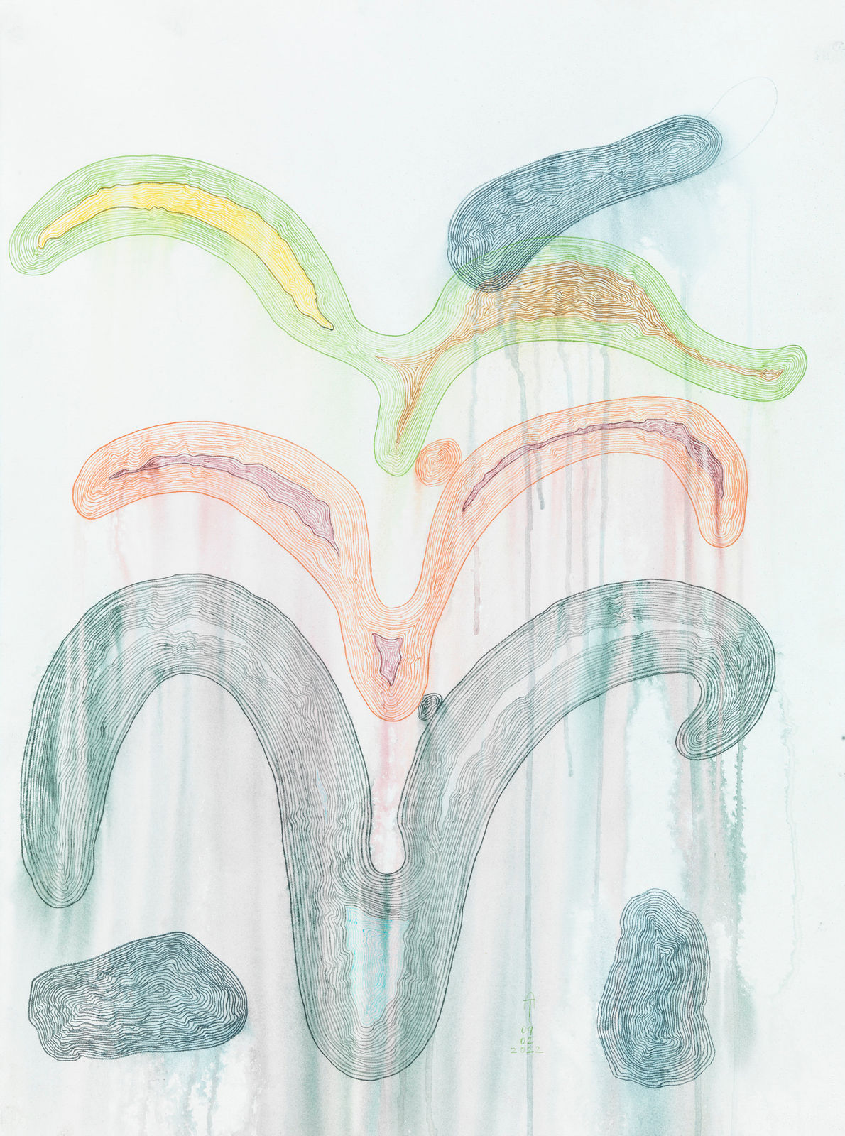 Almuth Tebbenhoff, Kelp I, 2022