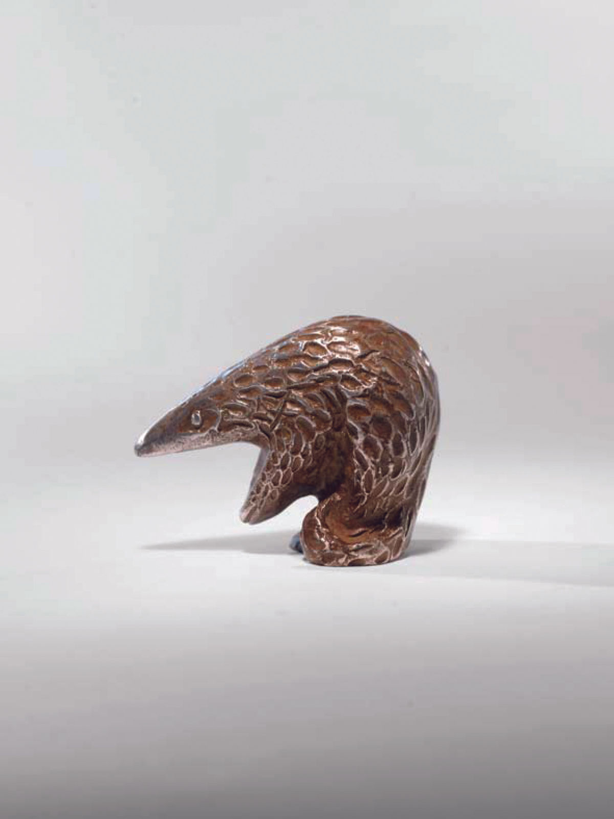 Jonathan Kingdon, Pangolin