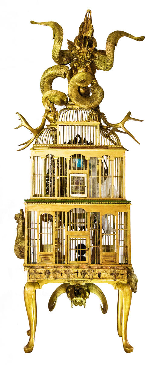 Patricia Nix, Rococo for Cockatoo, 2017