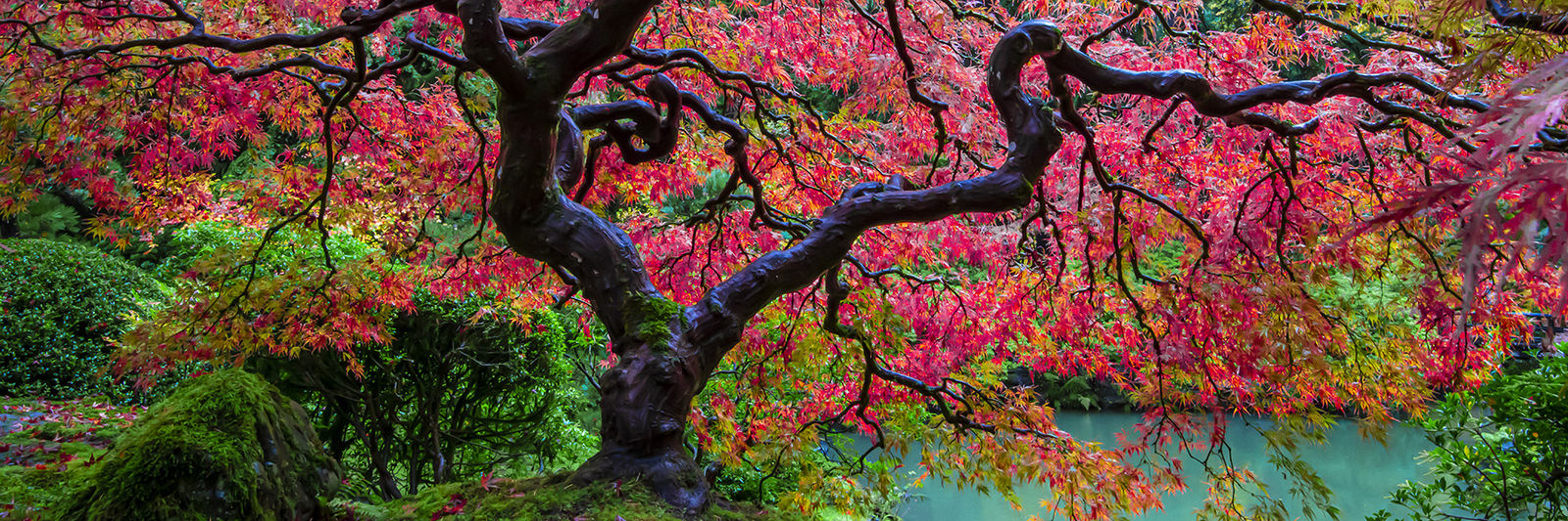 Paul Gruner, Fall Reflections