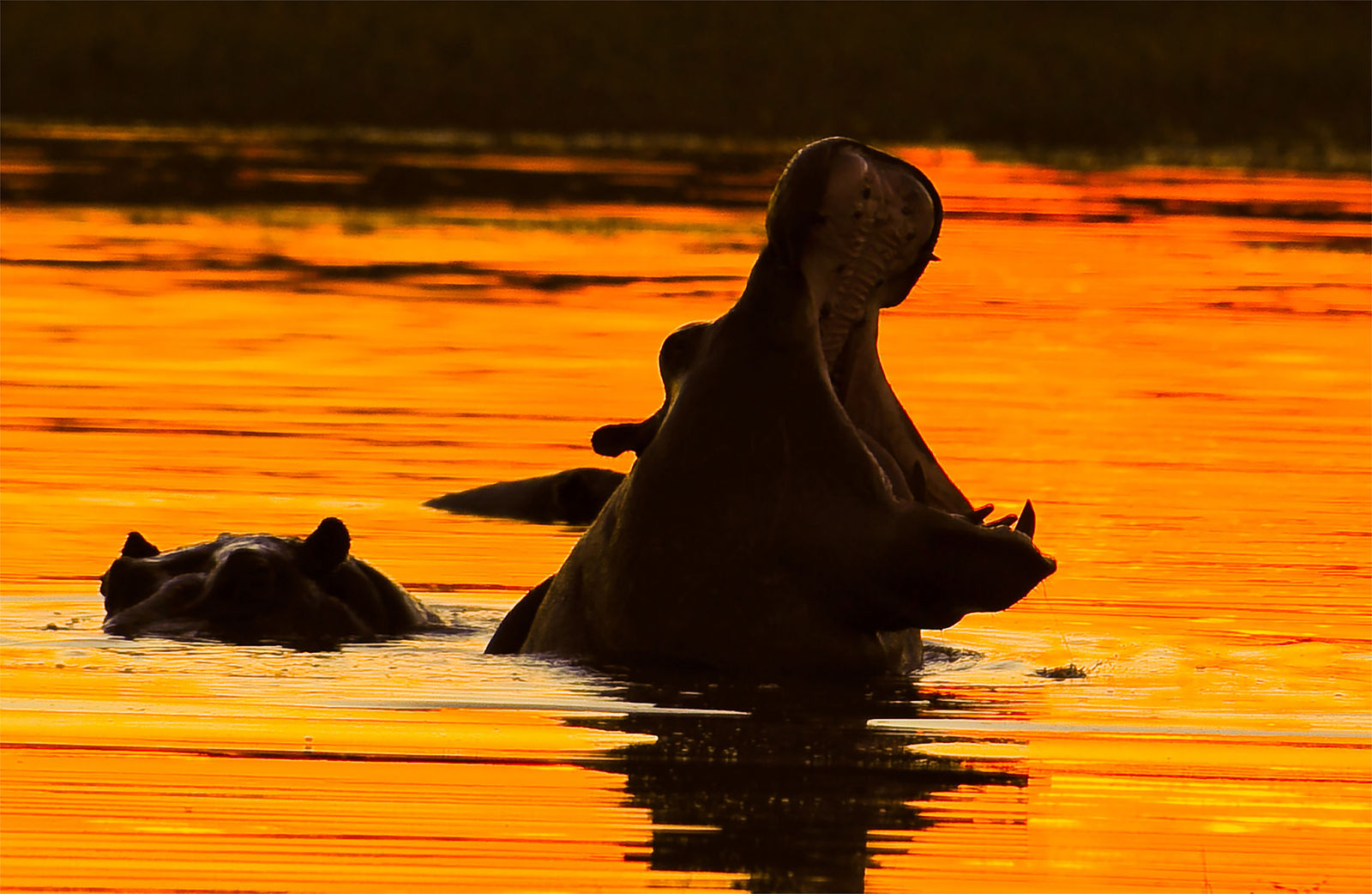 Paul Gruner, Open Wide