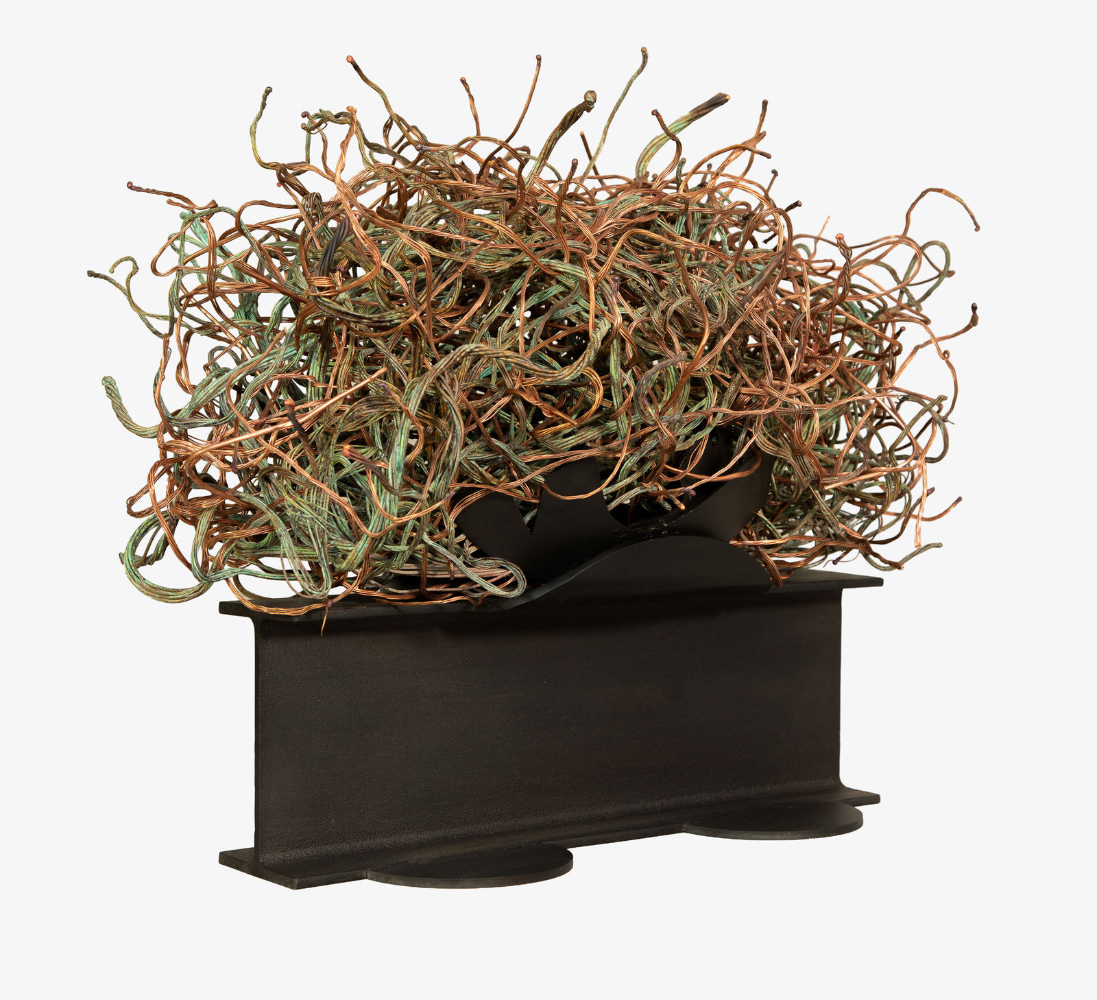 Nadim Karam, Desert Flowers miniature: Creation, 2025