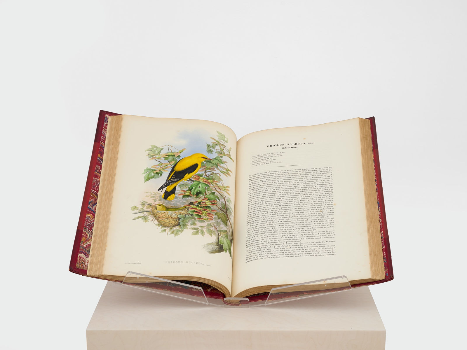 John Gould, The Birds of Great Britain (First Edition, 5 Volumes), 1873