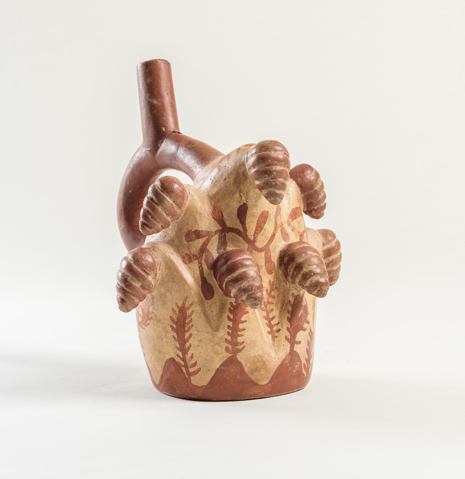 Moche Culture, Stirrup with molusque and San Pedro cactus, circa 400 - 600 AD