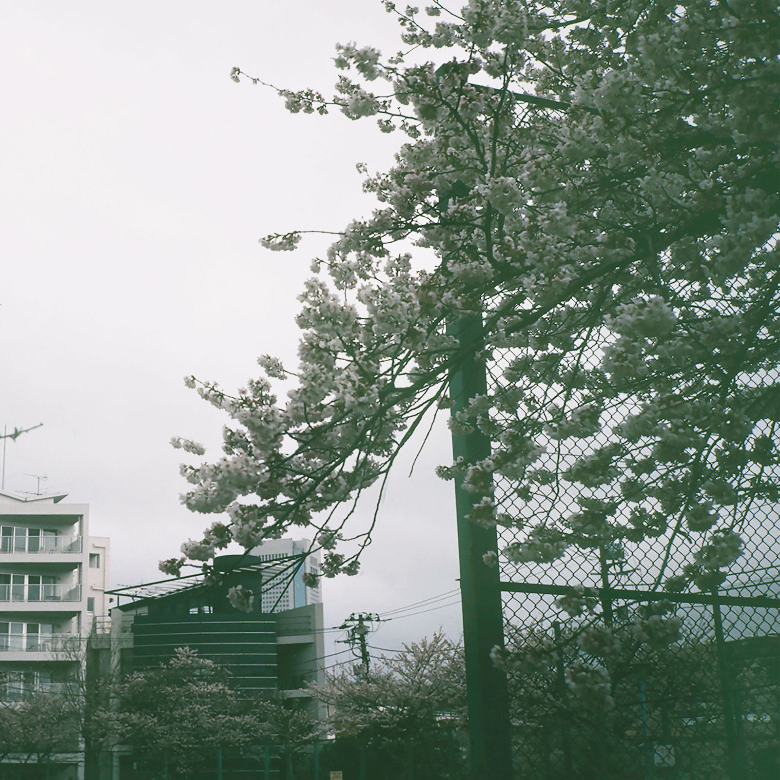 Susannah Baker-Smith, 'Another Living Soul' 16, 2020