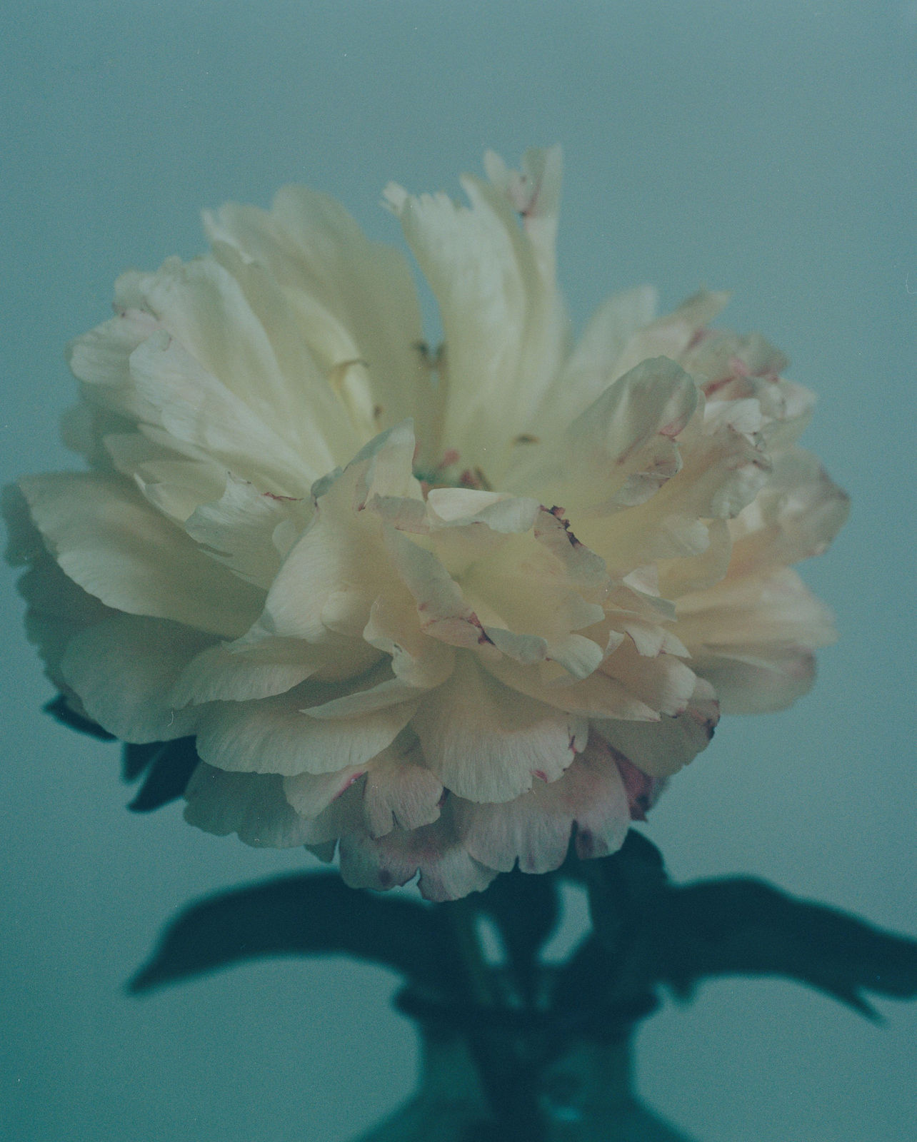 Susannah Baker-Smith, 'Another Living Soul' 67, 2020