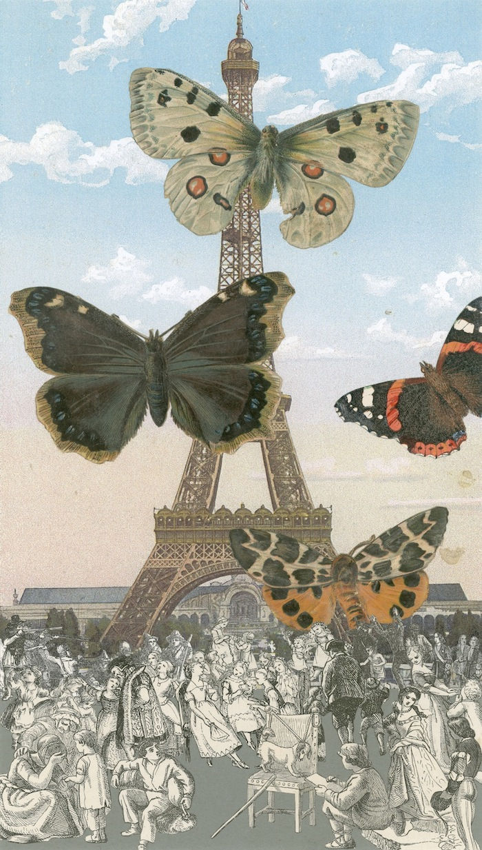 Peter Blake, Paris- Butterflies I, 2013
