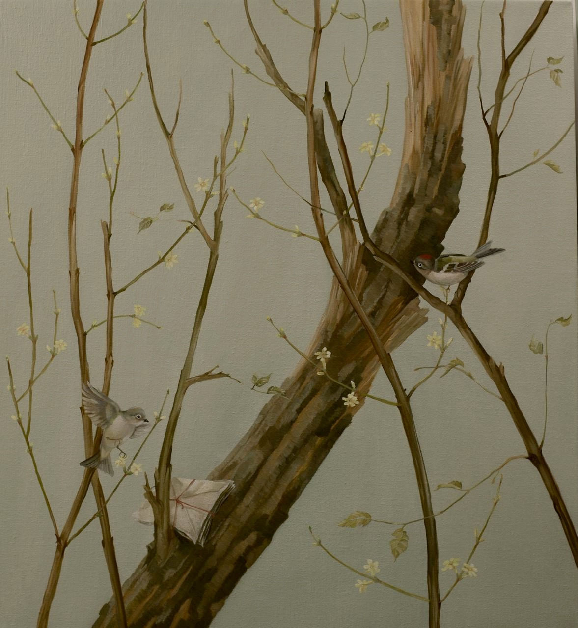 Grace O'Connor, Kinglets, 2009