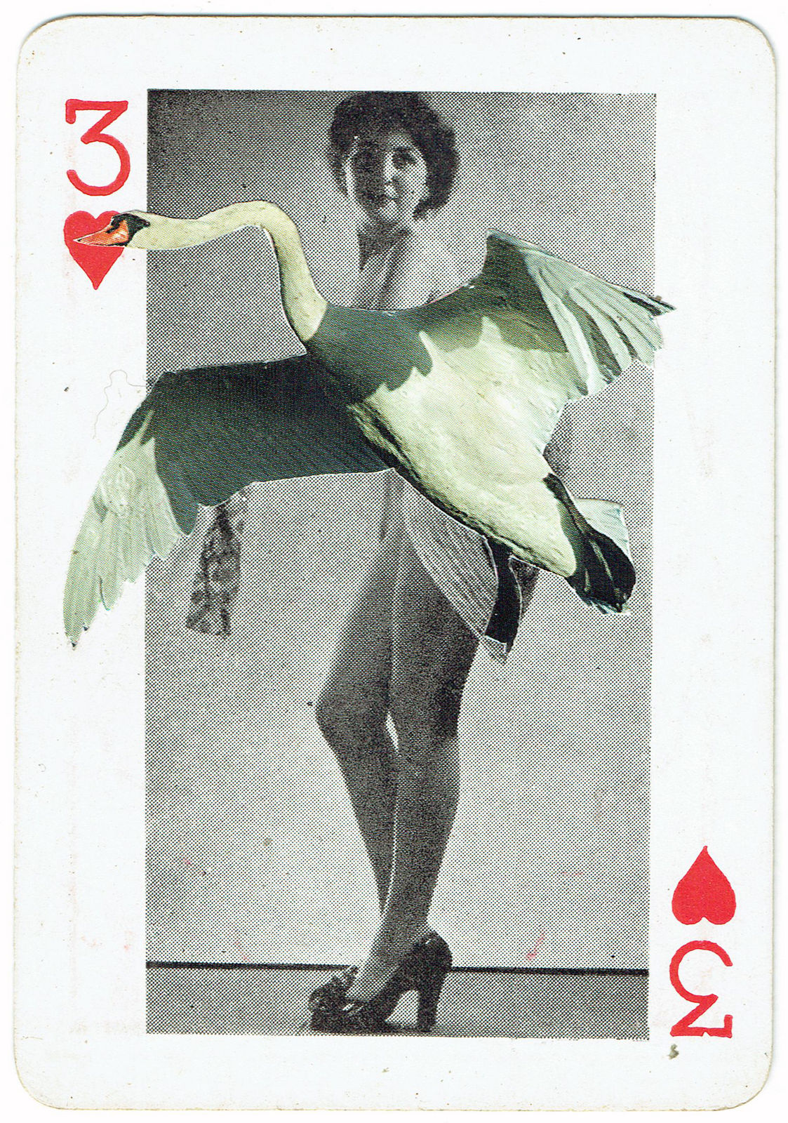 Sarah Hardacre, Three of Hearts Mute Swan, 2016