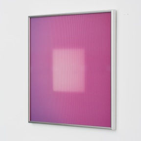 Brian Eno, Rose, 2016