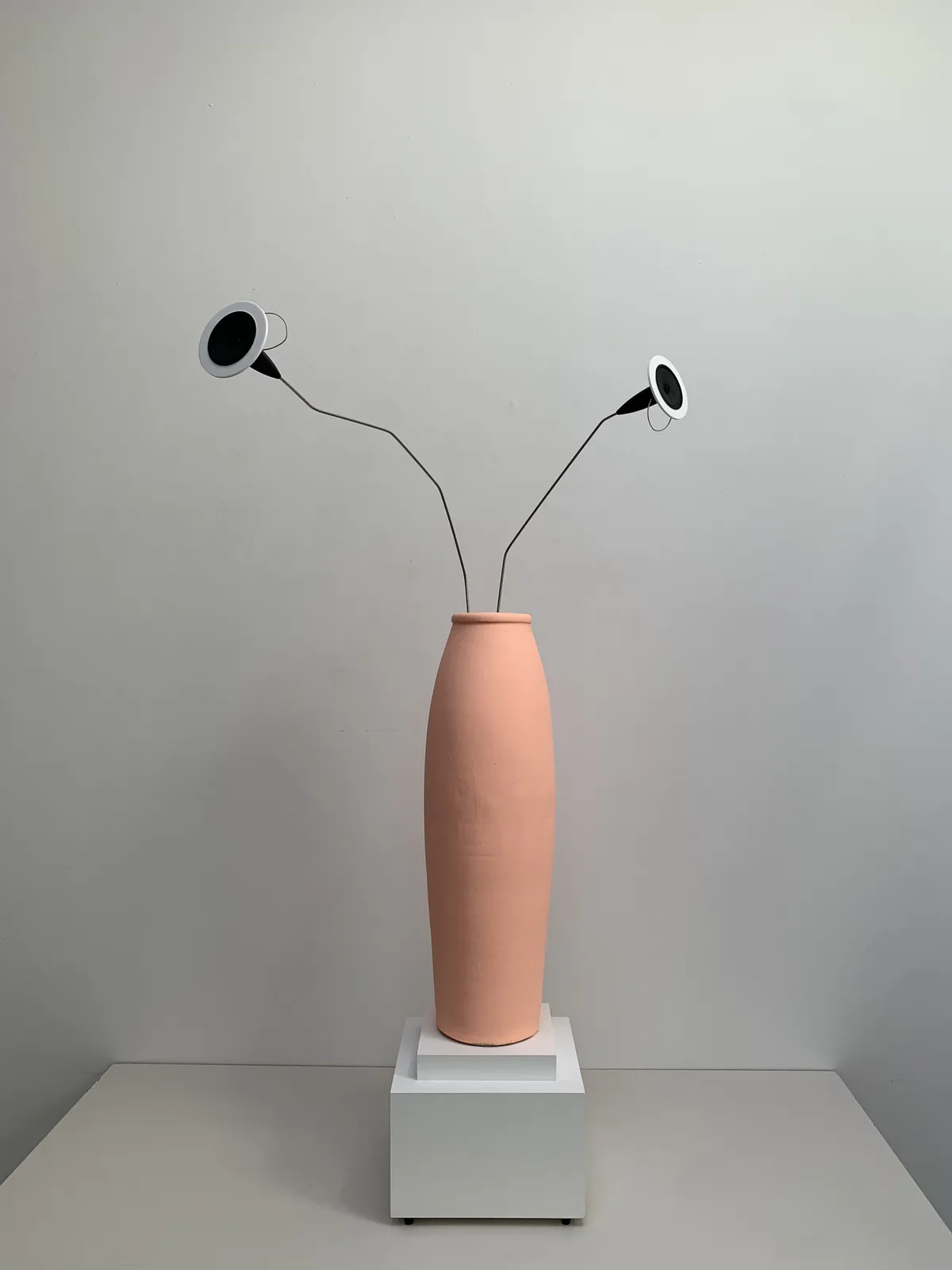 Brian Eno, Persian Buttercup, 2020