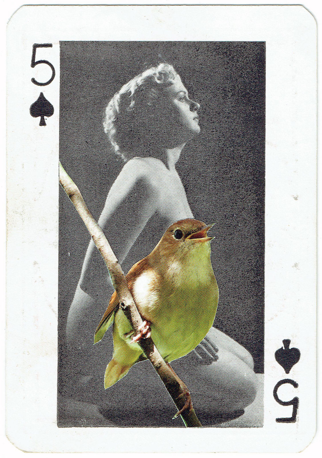 Sarah Hardacre, Five of Spades Nightingale, 2016