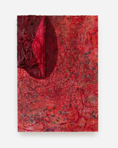 Karolina Albricht, The Willows Were Against Them, 2025