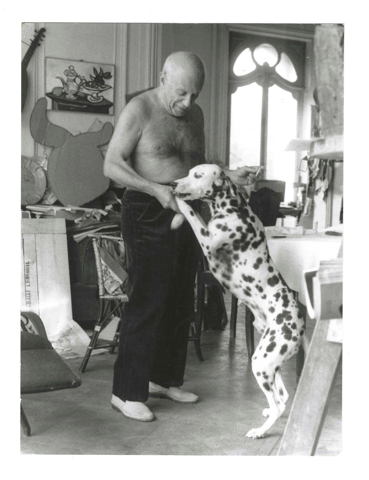 Edward Quinn, Pablo Picasso and his Dalmatian Perro. La Californie, Cannes, 1959