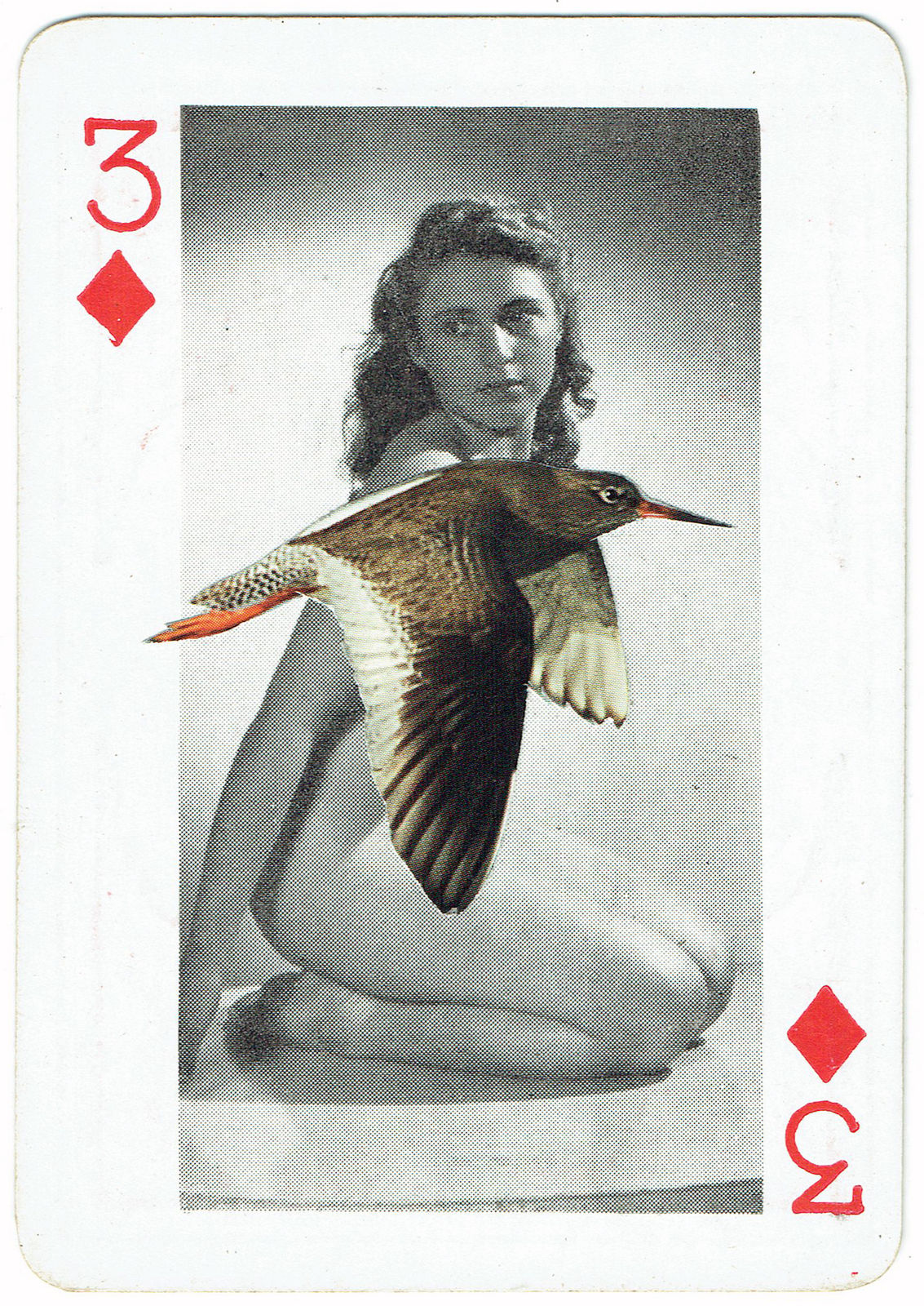 Sarah Hardacre, Three of Diamonds Redshank, 2016