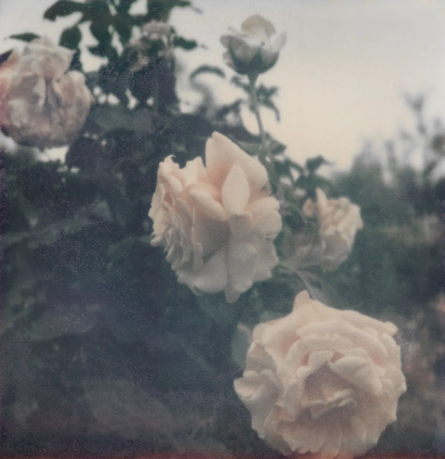 Susannah Baker-Smith, 'Another Living Soul' 95, 2020