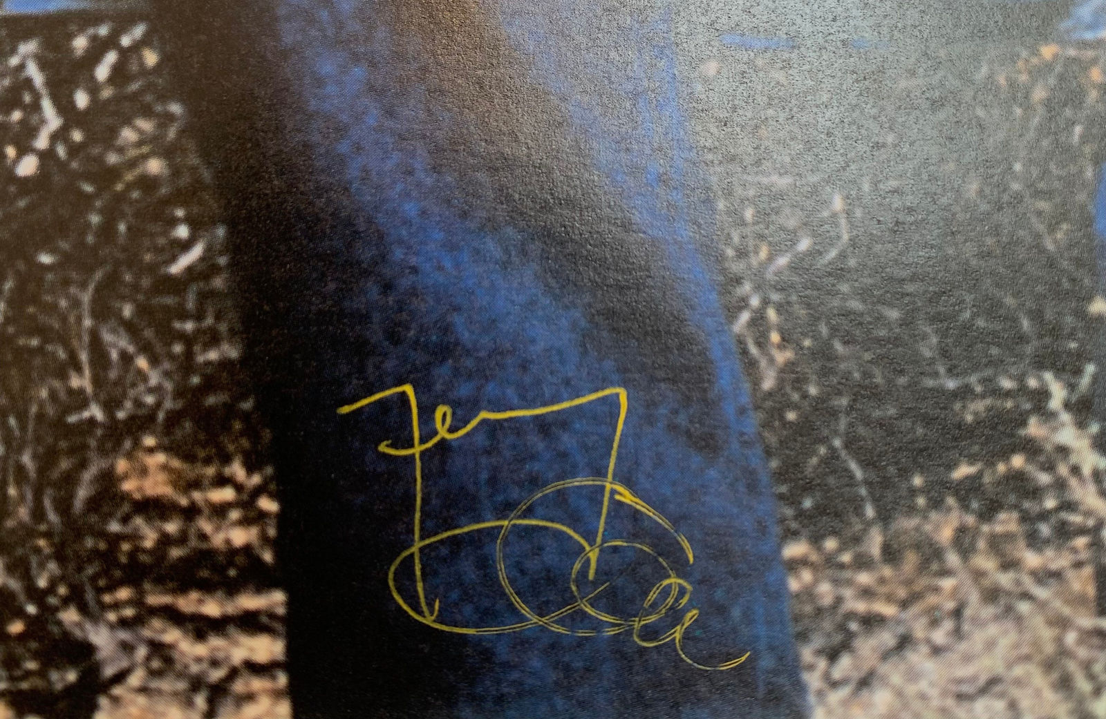 Jeremy Deller, William Elliot Whitmore, 2004