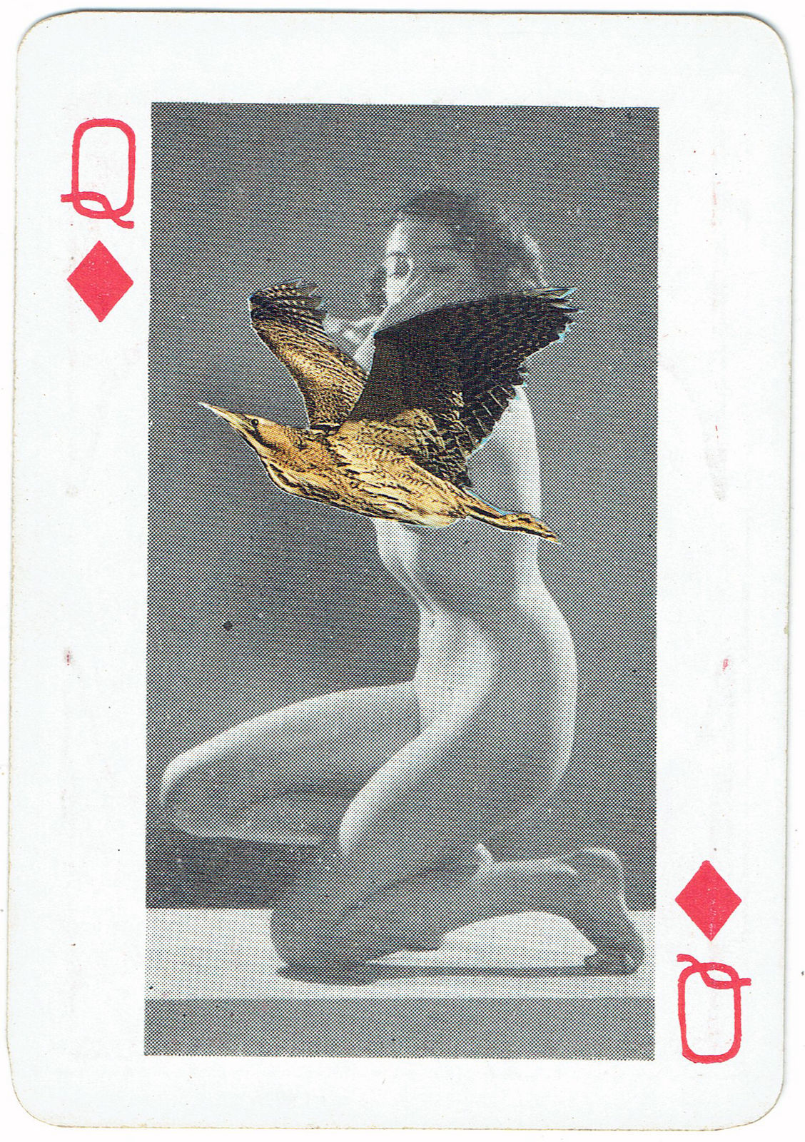Sarah Hardacre, Queen of Diamonds Bittern, 2016