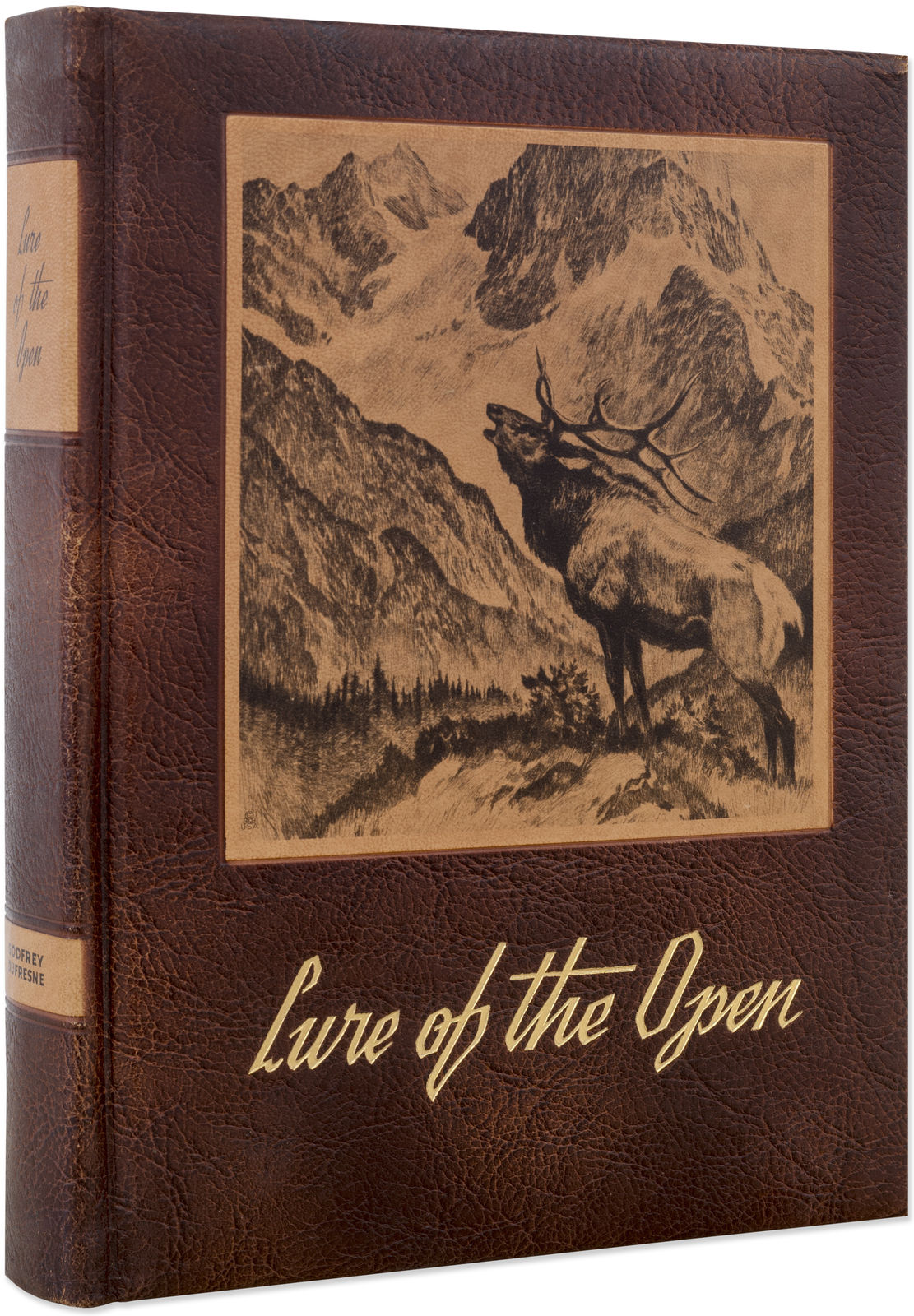 Lure of the Open, 2016