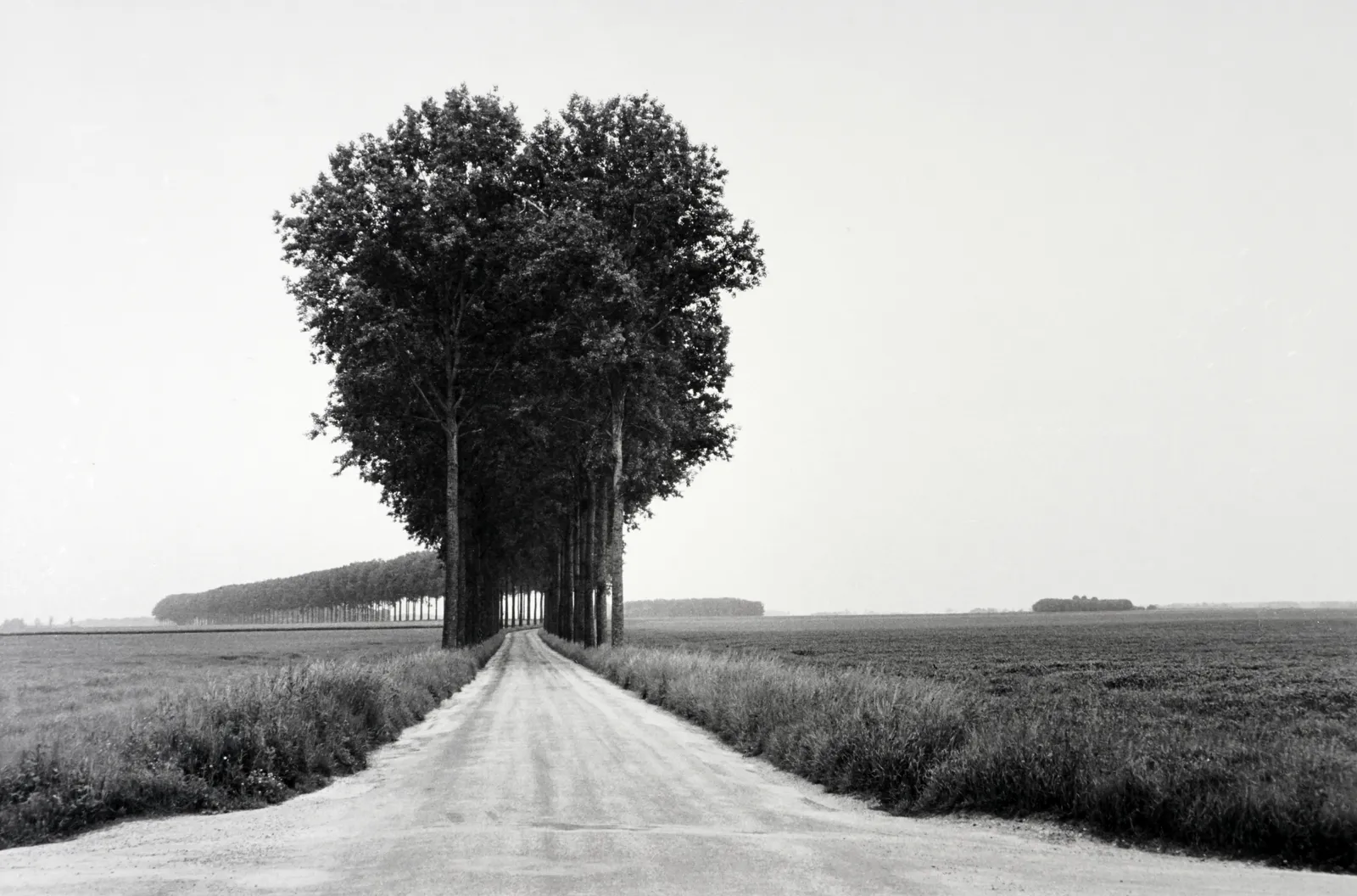 Henri Cartier-Bresson, Brie, France, 1955 (Printed Later)