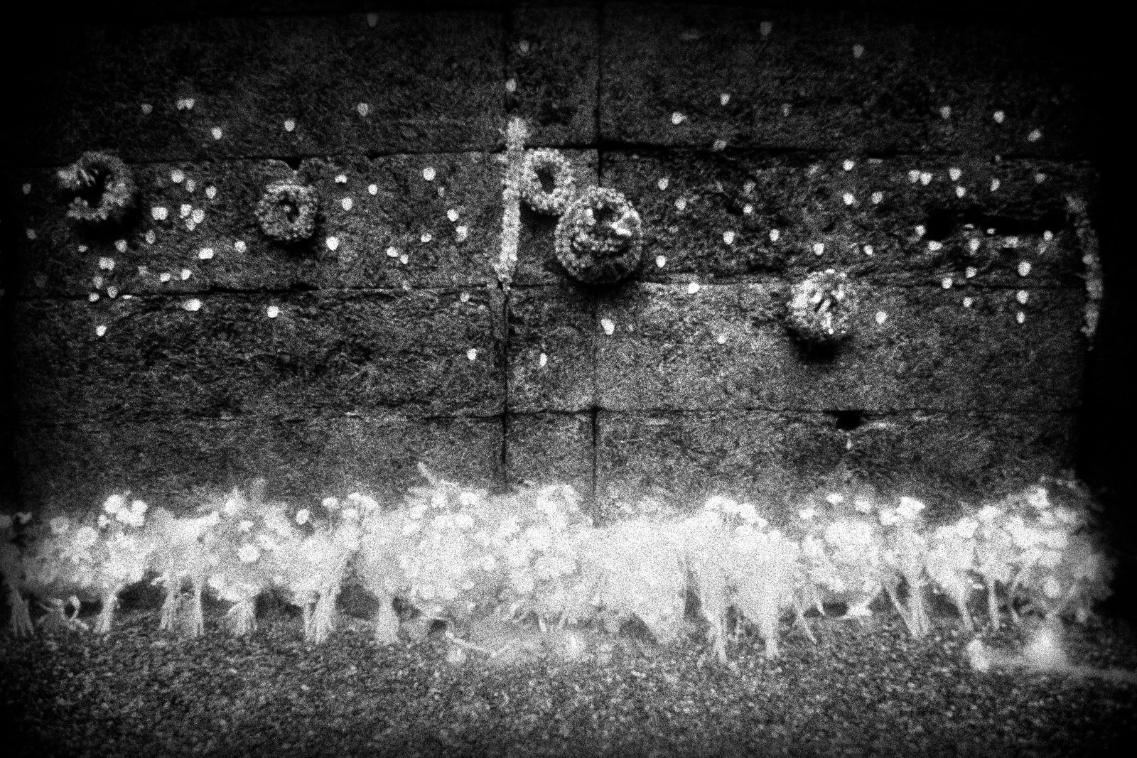 Judy Glickman Lauder, Execution Wall, Auschwitz extermination camp, Poland, 2018