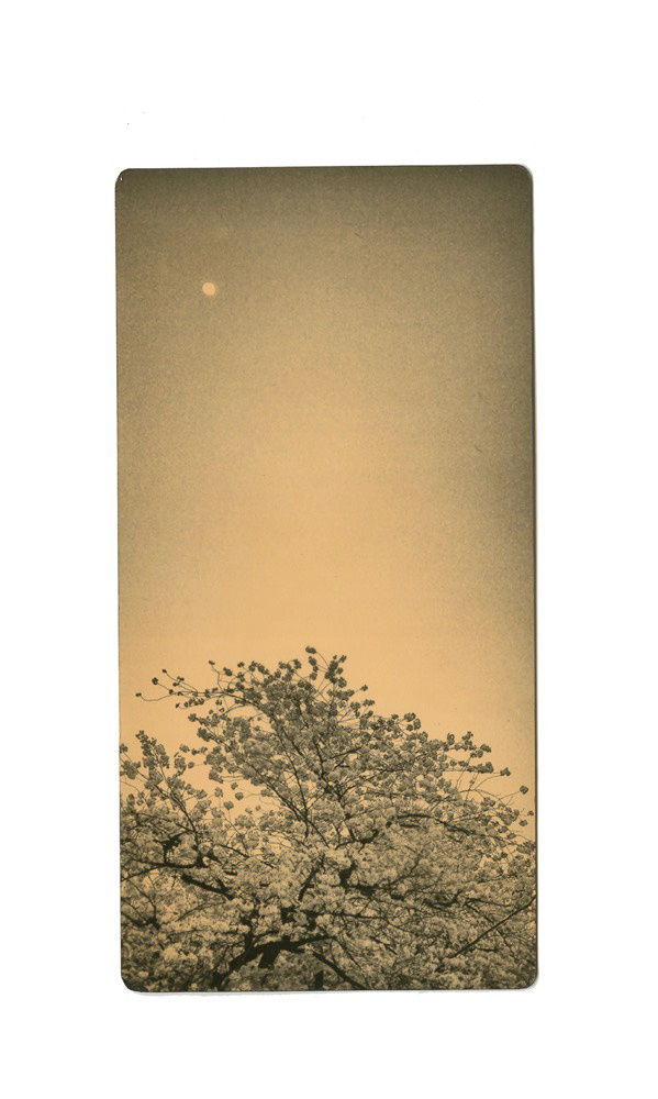 Miho Kajioka, BK0305, 2018