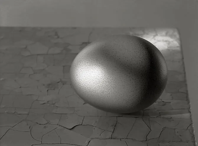 Kristoffer Albrecht, Egg on Table, 1999