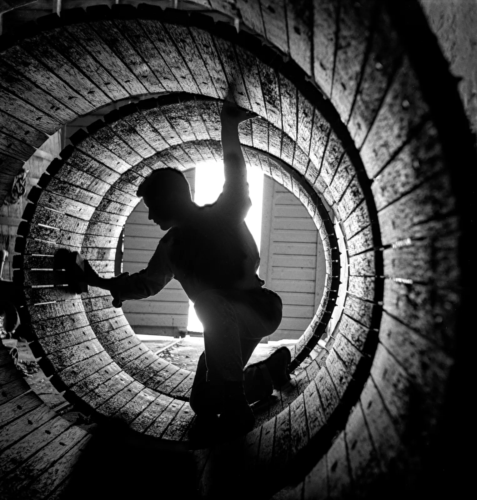 Fred Lyon, Karl Wente, Wente Vinyards, Livermore, CA, c. 1950's