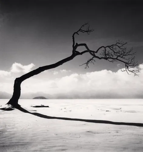 Michael Kenna, Kussharo Lake Tree, Study 10, Kotan, Hokkaido, 2005