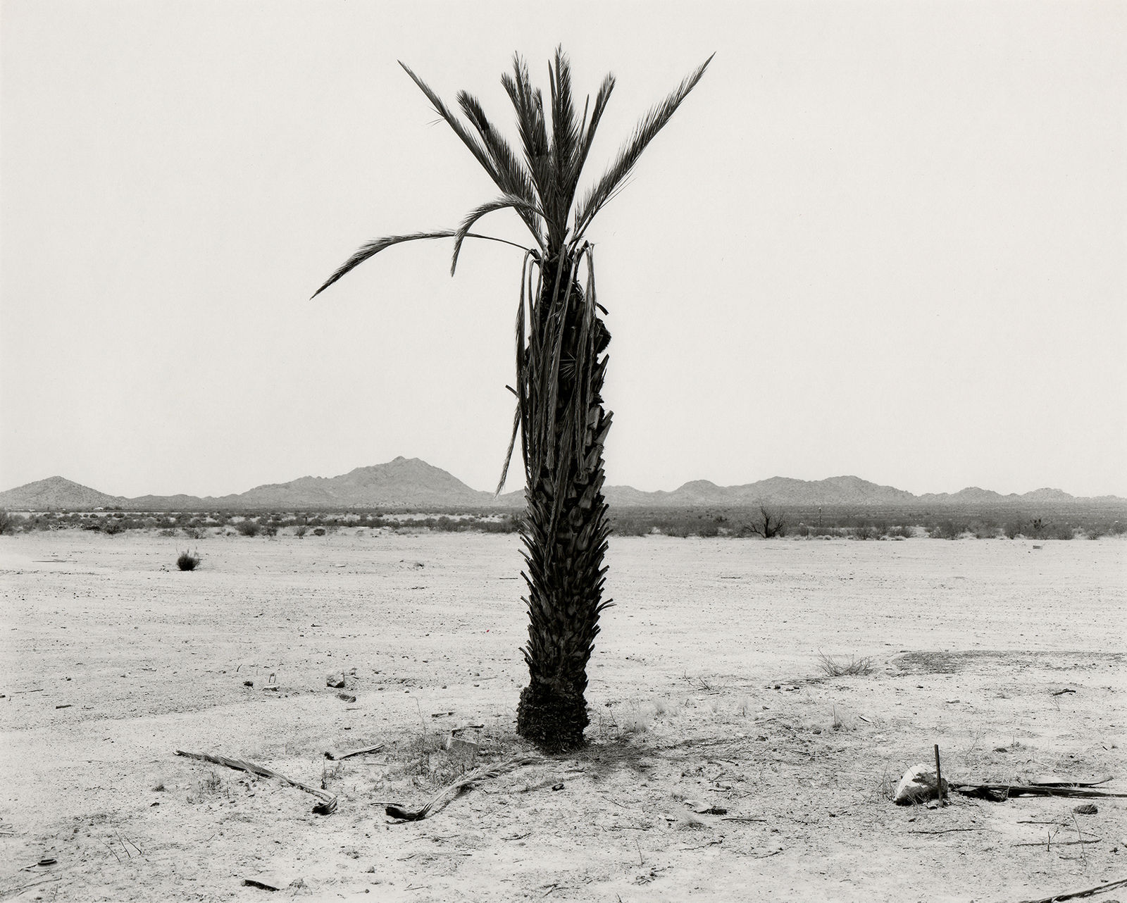 Ryan McIntosh, Near Quartz site, AZ, 2021