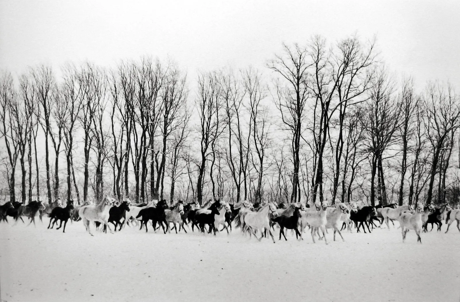 Henri Cartier-Bresson, Gyor, Hungary, 1964