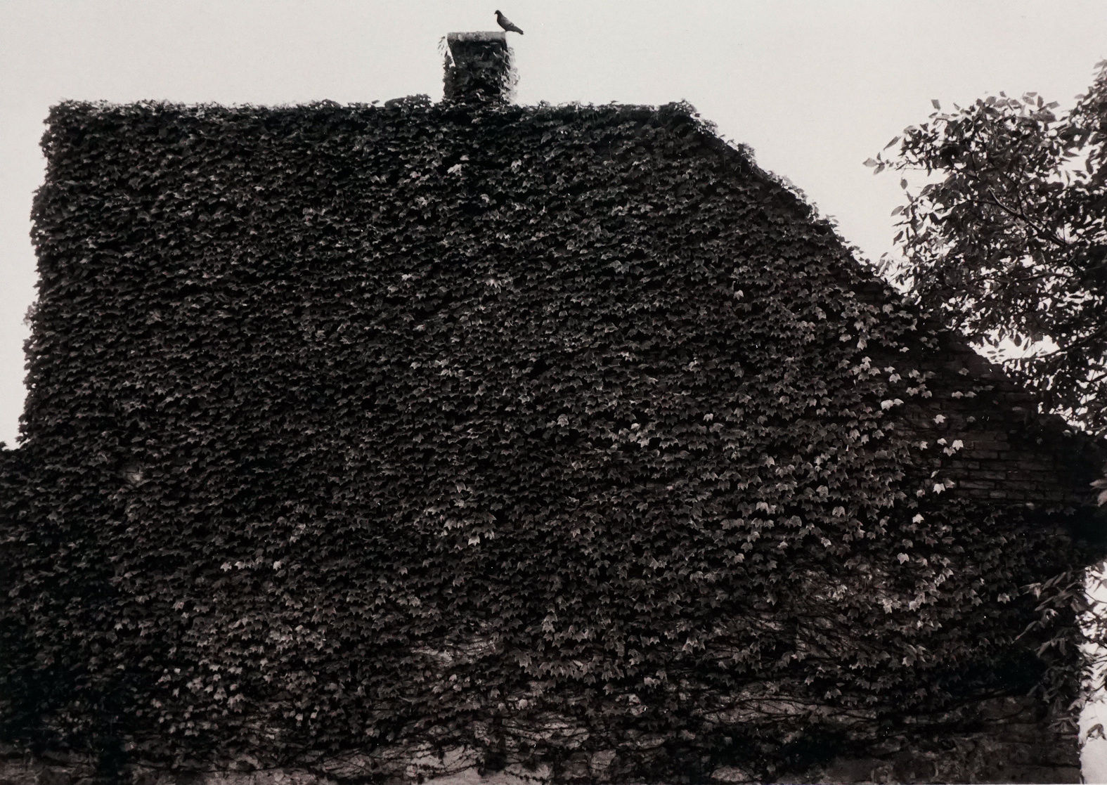 Pentti Sammallahti, Miskolc, Hungary, 1979