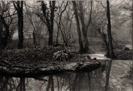 Don McCullin, Woodlands Near Somerset