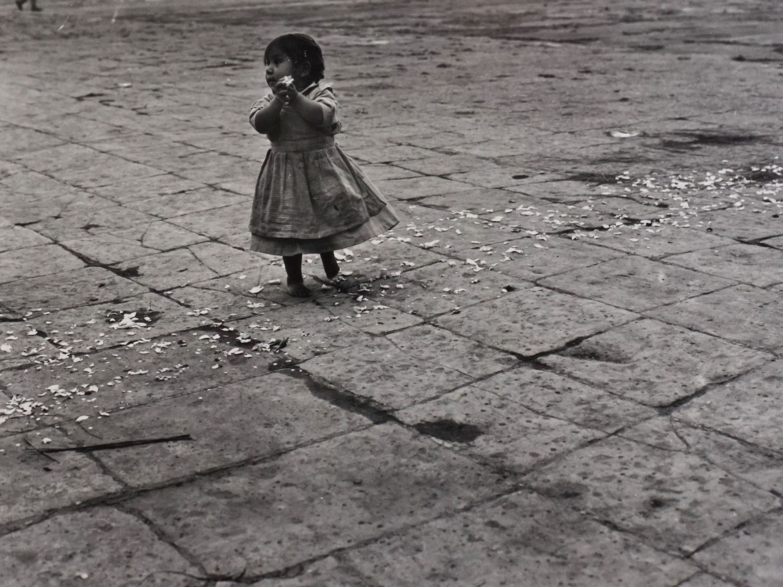 Mariana Yampolsky (United States, 1925-2002), Petalos "Petals", 1979