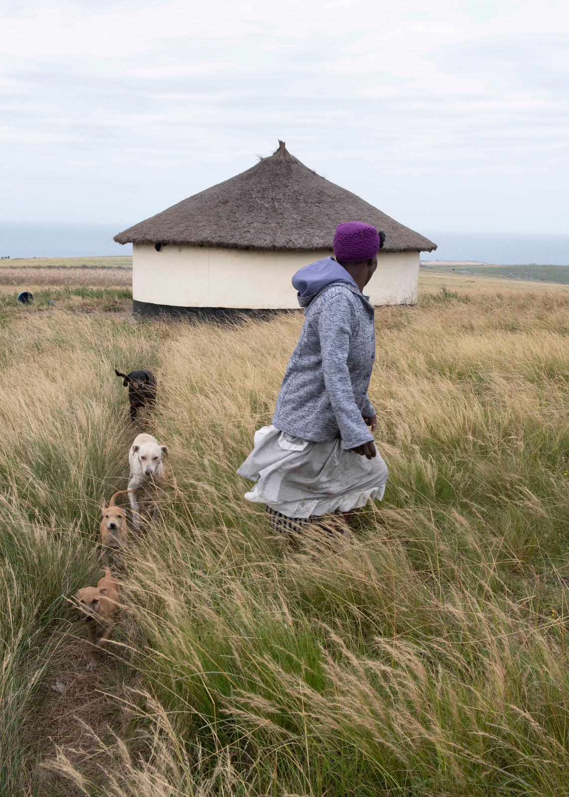 Traer Scott, Windswept Pack, 2019