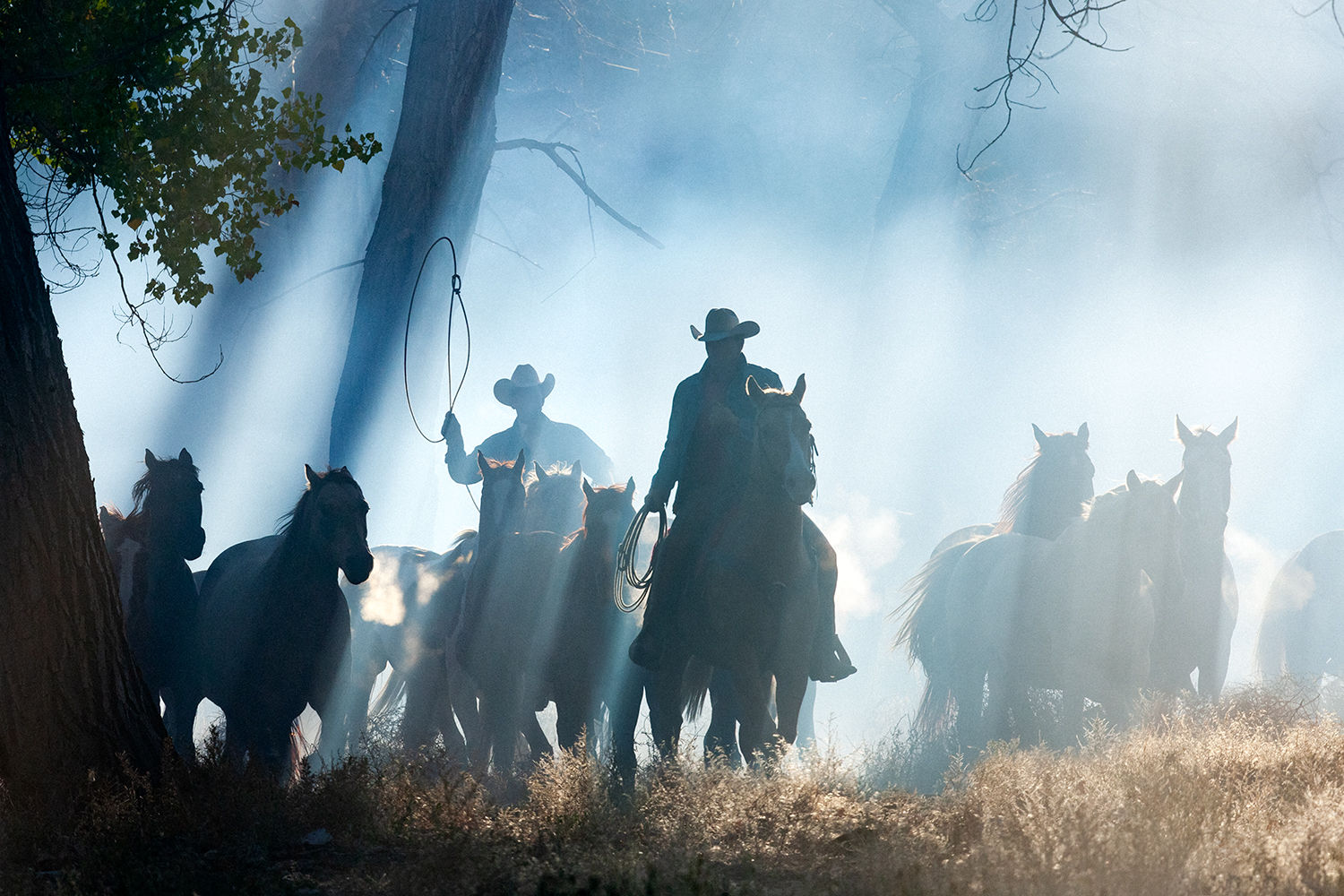 Jim Krantz, Epic Western no.