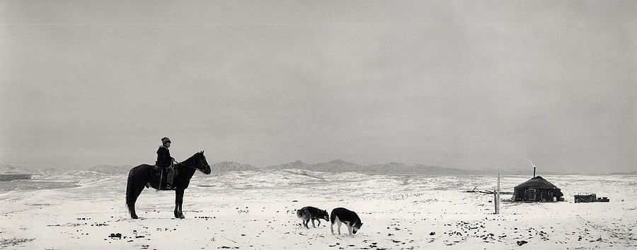 Pentti Sammallahti, Ulug-Khem, Tuvva, Siberia, (1 Horse and 2 Dogs in snow), 1997