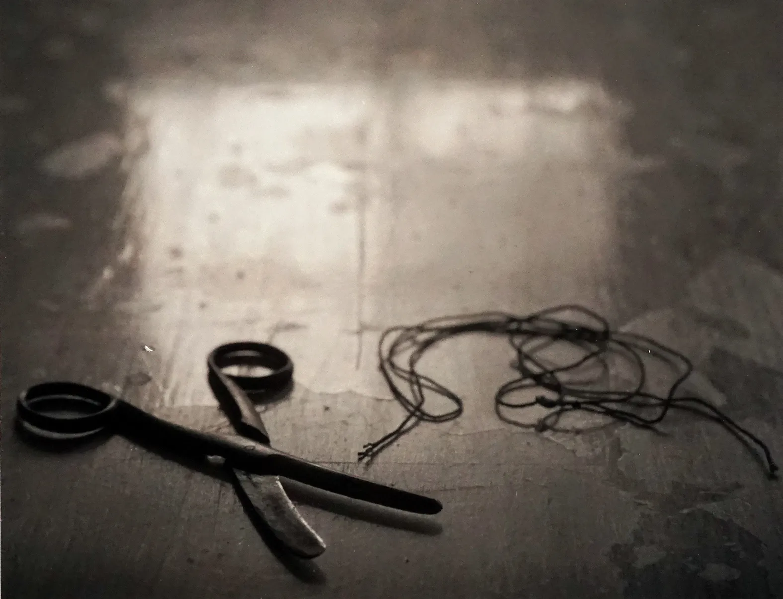 Kristoffer Albrecht, Scissors and String, 2013