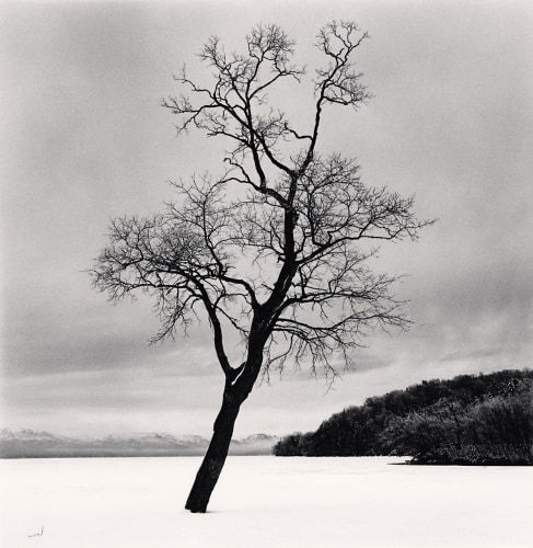 Michael Kenna, Amemasu Tree, Hokkaido, Japan, 2020