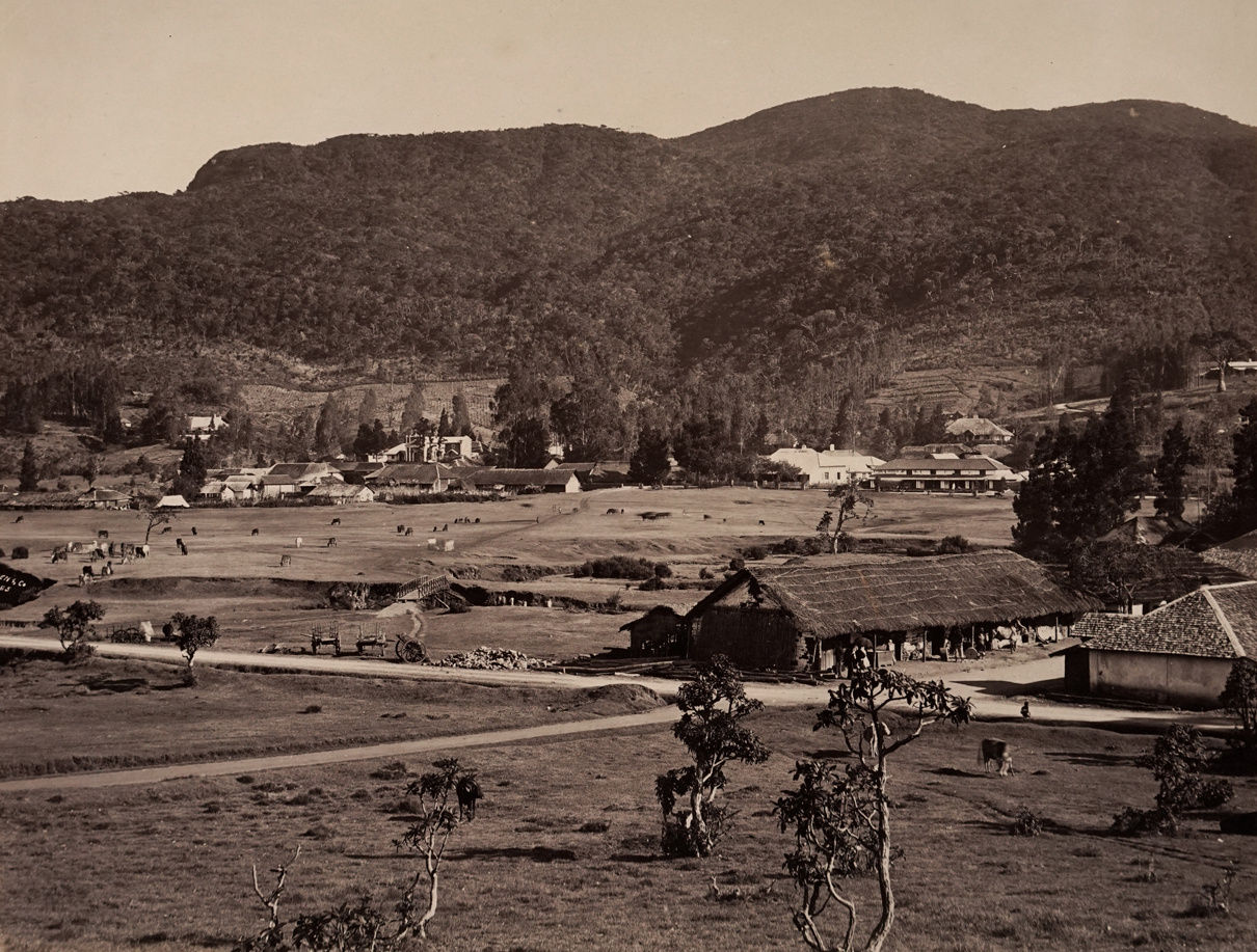 Charles Scowen, Ceylon Landscape, 1880