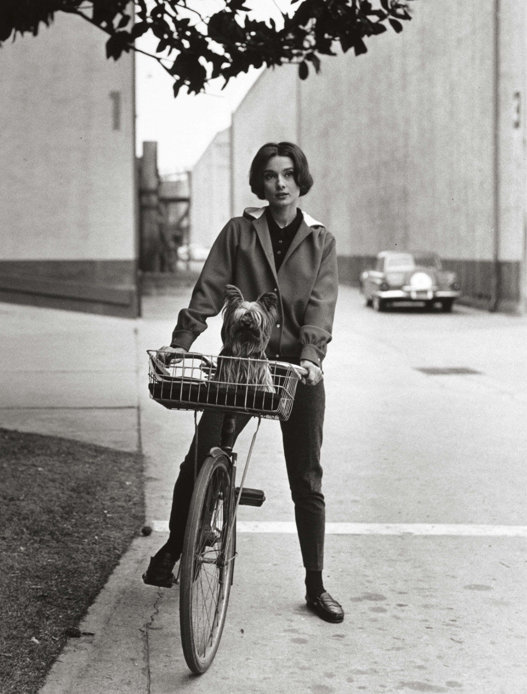 Sid Avery, Audrey Hepburn on her bike with her dog "Famous" at Paramount Studios, Los Angeles, CA, 1957