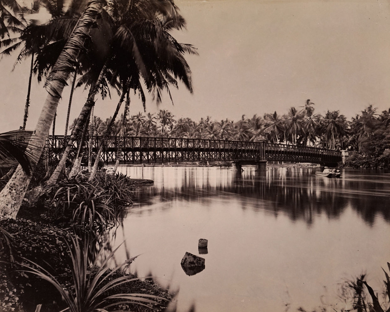 Charles Scowen, Galle, 1880