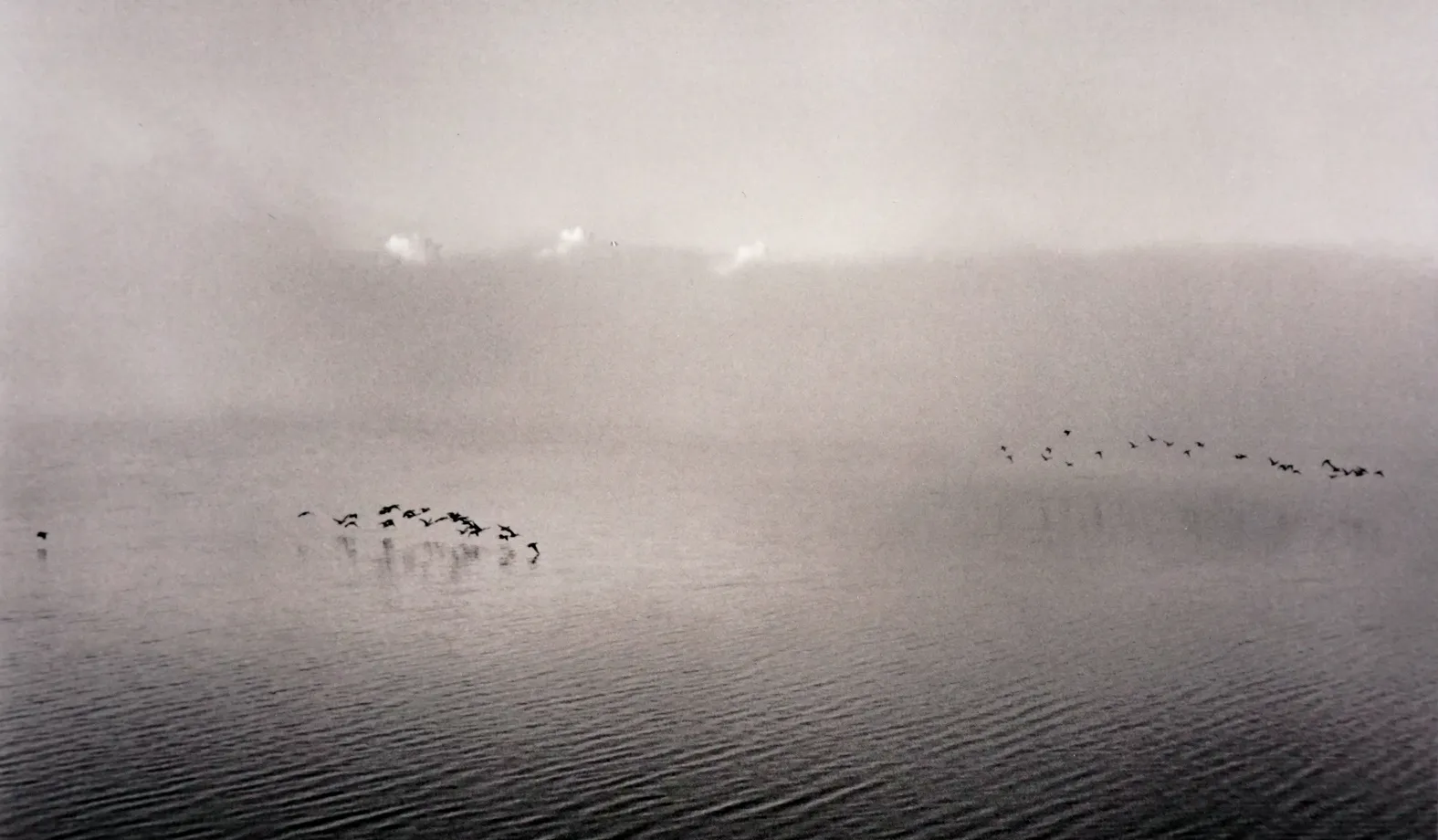 Kristoffer Albrecht, Water Foul, 2008