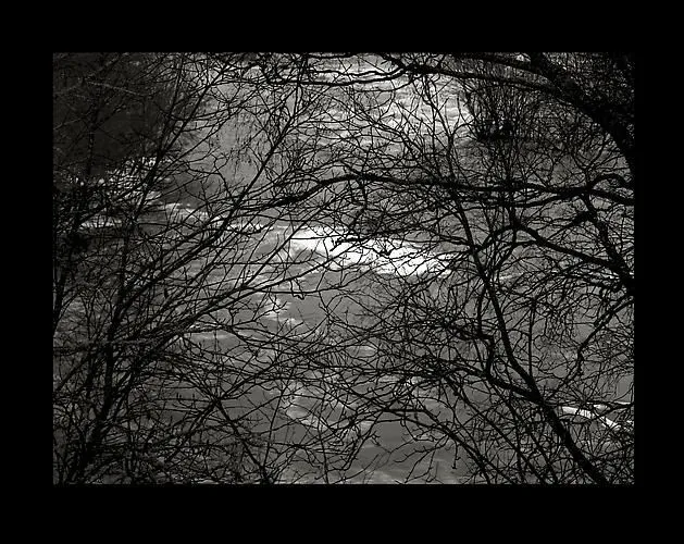 Kristoffer Albrecht, Stream, Nautelankoski, 1999