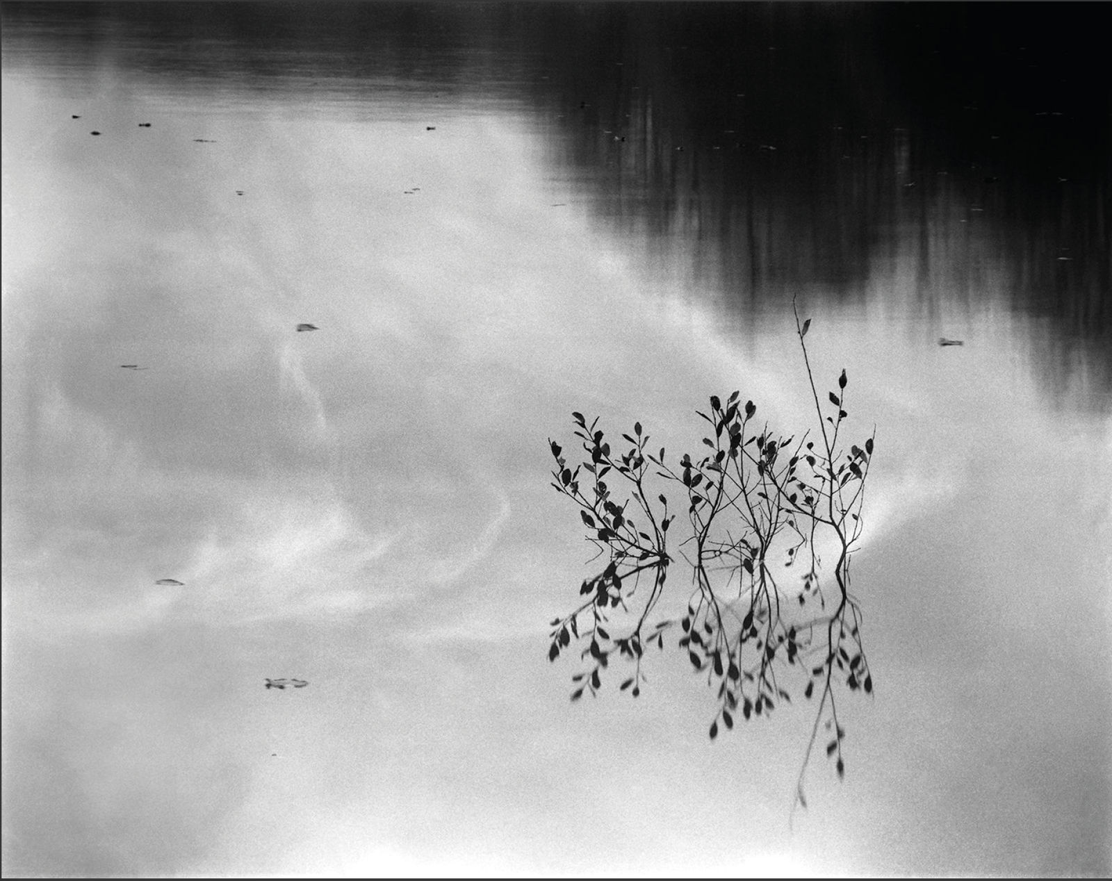 Nicholas Hughes, The Sound of Space Breathing (III), #11, 2021