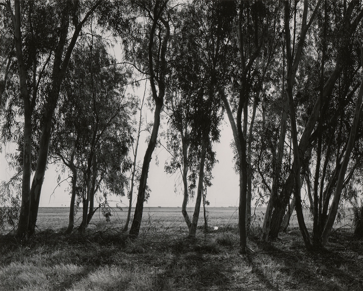 Ryan McIntosh, Lost Hills, CA, 2021