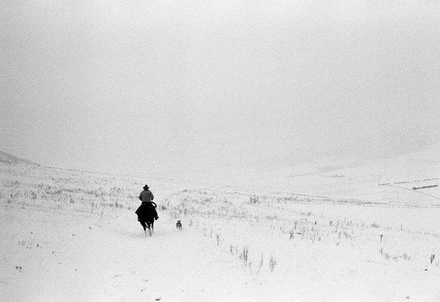 Kurt Markus, Flyinly D Ranch, 1980 (printed 2024)
