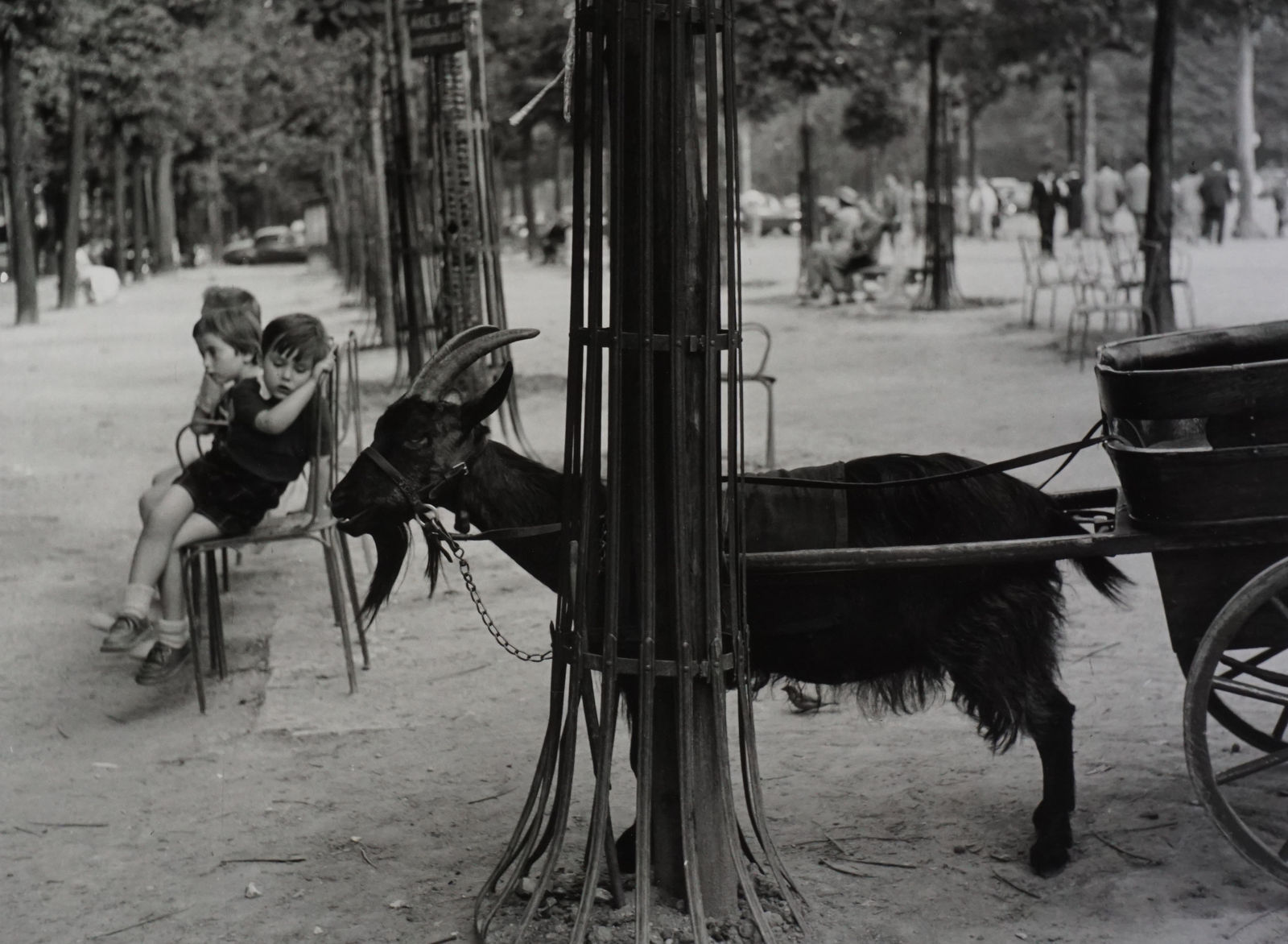 Dorothy Bohm, Tuileries Garden, Paris, 1953