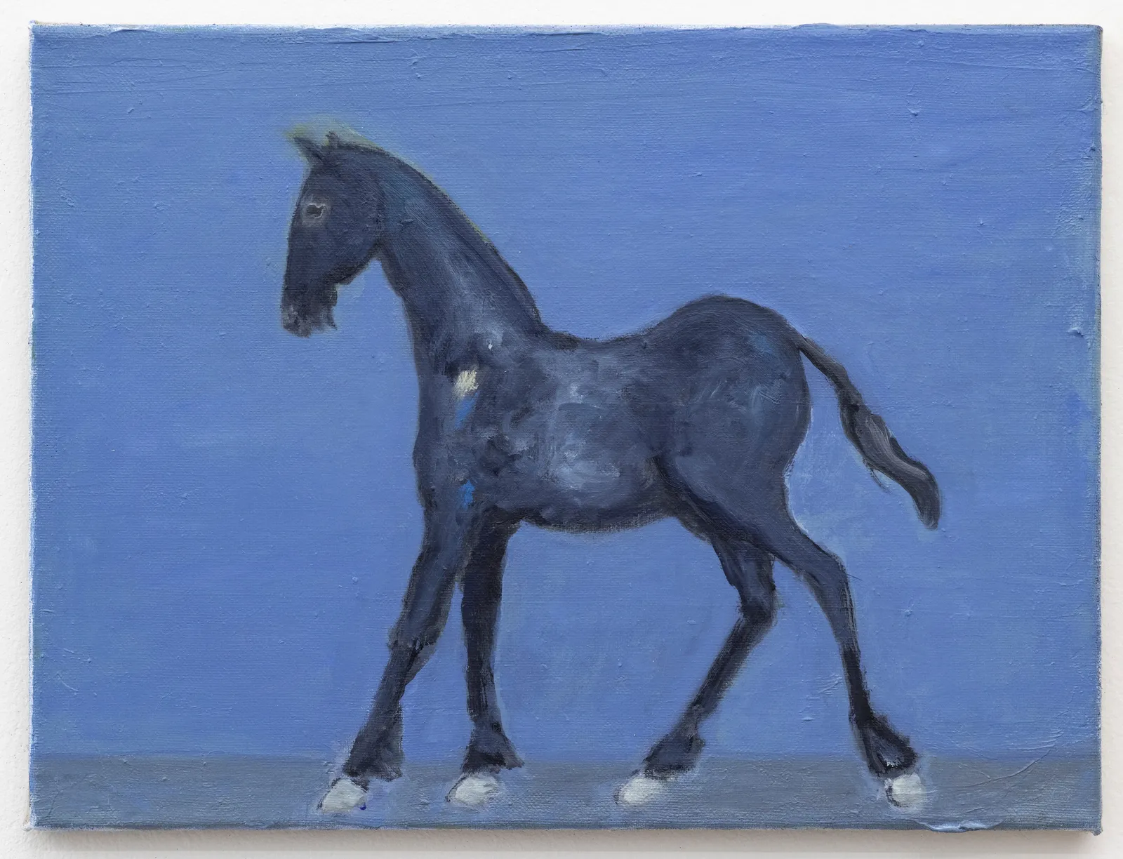 Valérie Favre, Pferd, 2023